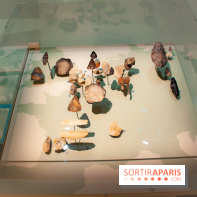 Exposition Néanderthal au Musée de l'Homme