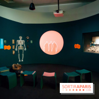 Exposition Néanderthal au Musée de l'Homme