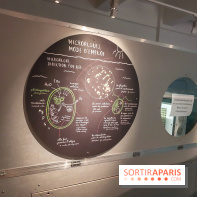 Exposition Cyclops à l'Aquarium Tropical de Paris