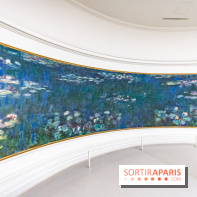 Les Nymphéas et artistes abstraits au Musée de l'Orangerie