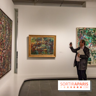 Les Nymphéas et artistes abstraits au Musée de l'Orangerie