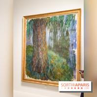 Les Nymphéas et artistes abstraits au Musée de l'Orangerie