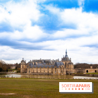 Nature, le spectacle équestre à Chantilly