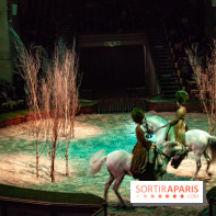 Nature, le spectacle équestre à Chantilly