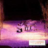 Nature, le spectacle équestre à Chantilly