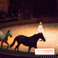 Nature, le spectacle équestre à Chantilly