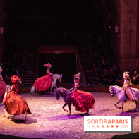 Nature, le spectacle équestre à Chantilly