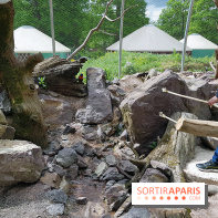 Zoo de Thoiry 2018 : les photos