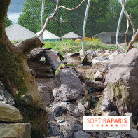 Zoo de Thoiry 2018 : les photos