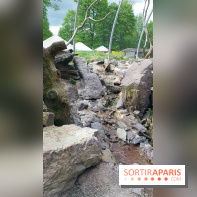 Zoo de Thoiry 2018 : les photos