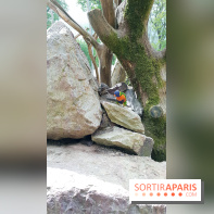 Zoo de Thoiry 2018 : les photos