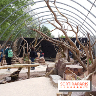 Zoo de Thoiry 2018 : les photos