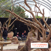 Zoo de Thoiry 2018 : les photos