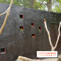 Zoo de Thoiry 2018 : les photos