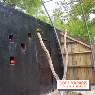 Zoo de Thoiry 2018 : les photos