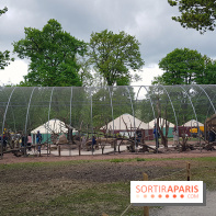 Zoo de Thoiry 2018 : les photos