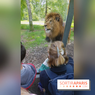 Zoo de Thoiry 2018 : les photos