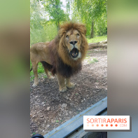 Zoo de Thoiry 2018 : les photos