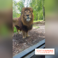 Zoo de Thoiry 2018 : les photos