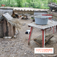 Zoo de Thoiry 2018 : les photos