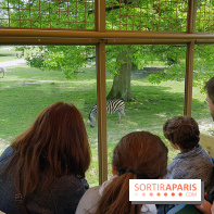 Thoiry 2018 - Safari