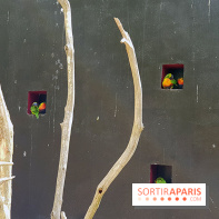 Thoiry 2018 - Trek Australien