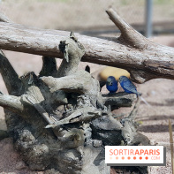 Thoiry 2018 - Trek Australien