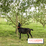 Aventure Land 2018, les photos