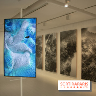 1, 2, 3, Data : les photos