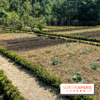 La Maison de la Reine rénovée au Château de Versailles