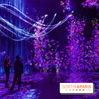 Teamlab : au delà des limites à la Villette, les photos
