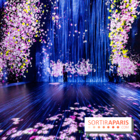 Teamlab : au delà des limites à la Villette, les photos
