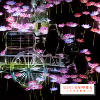 Teamlab : au delà des limites à la Villette, les photos