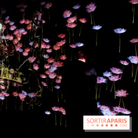 Teamlab : au delà des limites à la Villette, les photos