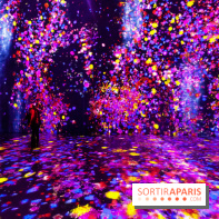 Teamlab : au delà des limites à la Villette, les photos