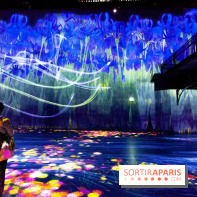 Teamlab : au delà des limites à la Villette, les photos