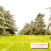 L'Arboretum de Versailles - Chevreloup