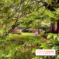 L'Arboretum de Versailles - Chevreloup