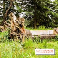 L'Arboretum de Versailles - Chevreloup