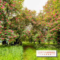 L'Arboretum de Versailles - Chevreloup