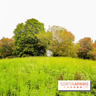 L'Arboretum de Versailles - Chevreloup