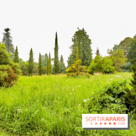 L'Arboretum de Versailles - Chevreloup