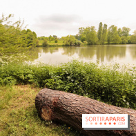 L'Arboretum de Versailles - Chevreloup