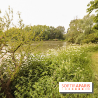 L'Arboretum de Versailles - Chevreloup