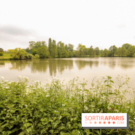 L'Arboretum de Versailles - Chevreloup