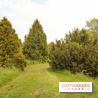 L'Arboretum de Versailles - Chevreloup