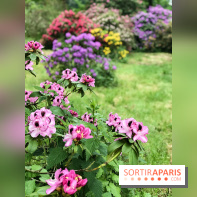 L'Arboretum de Versailles - Chevreloup