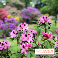 L'Arboretum de Versailles - Chevreloup