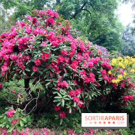 L'Arboretum de Versailles - Chevreloup