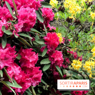 L'Arboretum de Versailles - Chevreloup